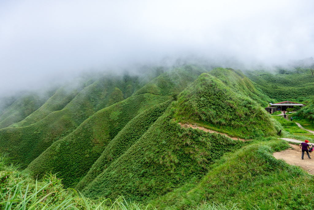 _DSC8437-編輯.JPG _DSC8437-編輯.JPG