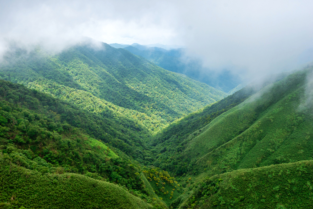 _DSC8462-編輯.JPG _DSC8462-編輯.JPG