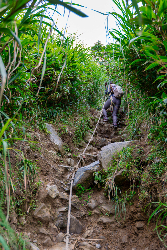 _DSC8513-編輯.JPG _DSC8513-編輯.JPG