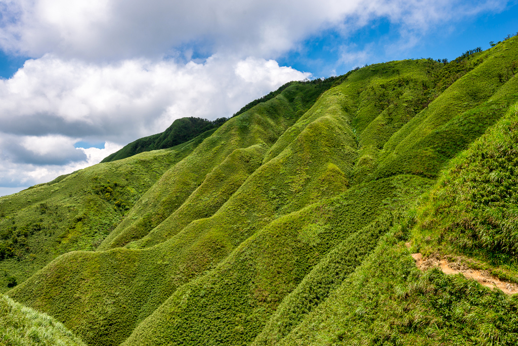 _DSC8588-編輯.JPG _DSC8588-編輯.JPG