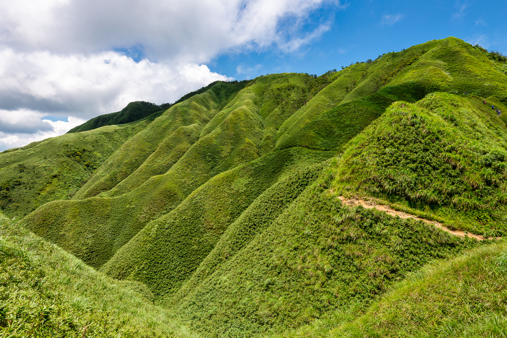 _DSC8590-編輯.JPG _DSC8590-編輯.JPG