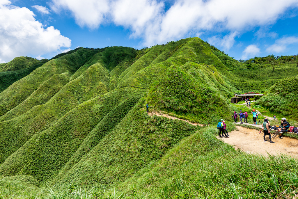 _DSC8624-編輯.JPG _DSC8624-編輯.JPG