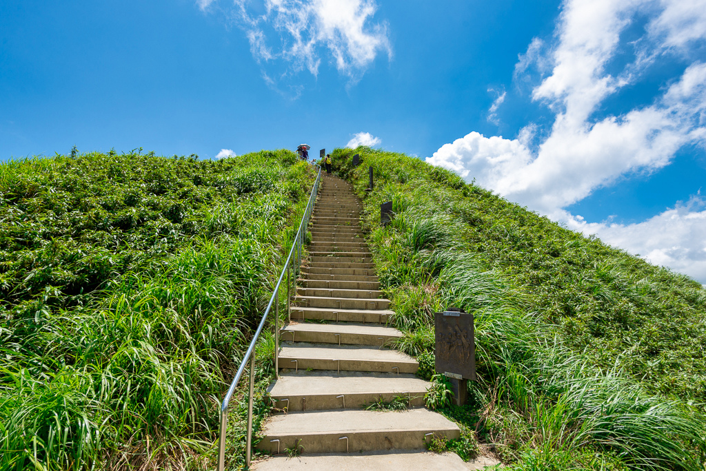 _DSC8636-編輯.JPG _DSC8636-編輯.JPG