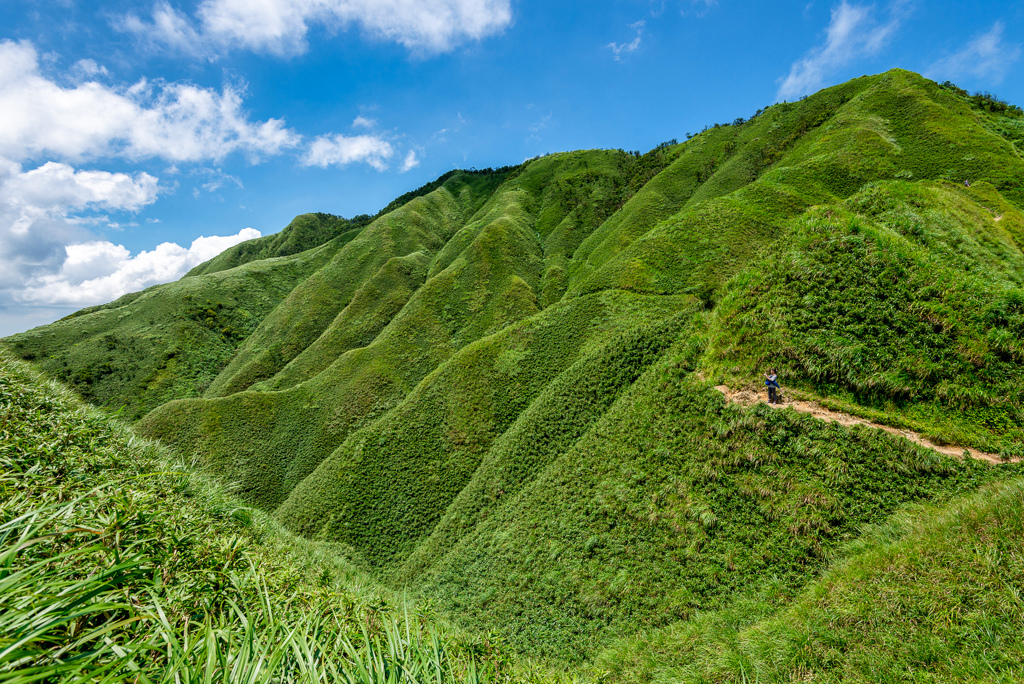 _DSC8693-編輯.JPG _DSC8693-編輯.JPG