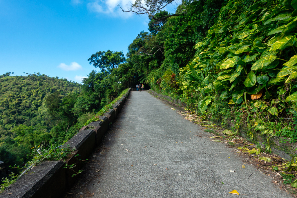 DSC05314-編輯.JPG DSC05314-編輯.JPG