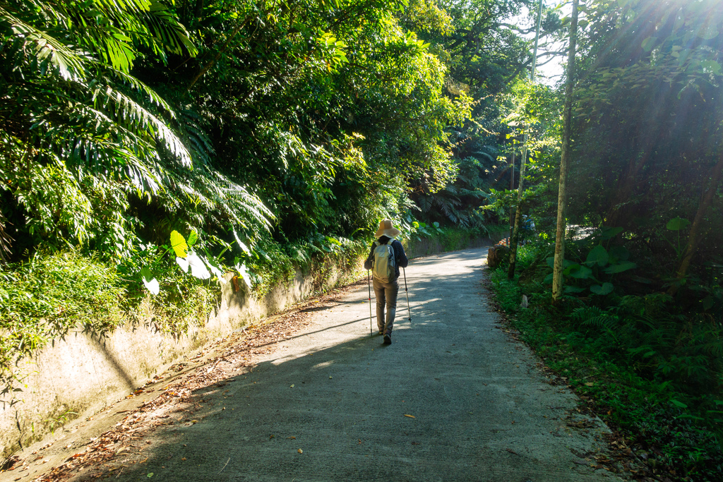 DSC05288-編輯.JPG DSC05288-編輯.JPG