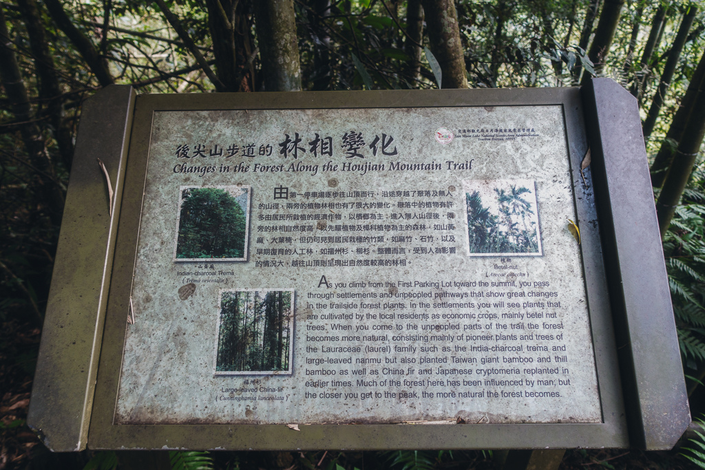DSC06321-編輯.JPG