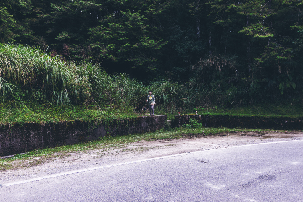 _DSC8960-編輯.JPG _DSC8960-編輯.JPG