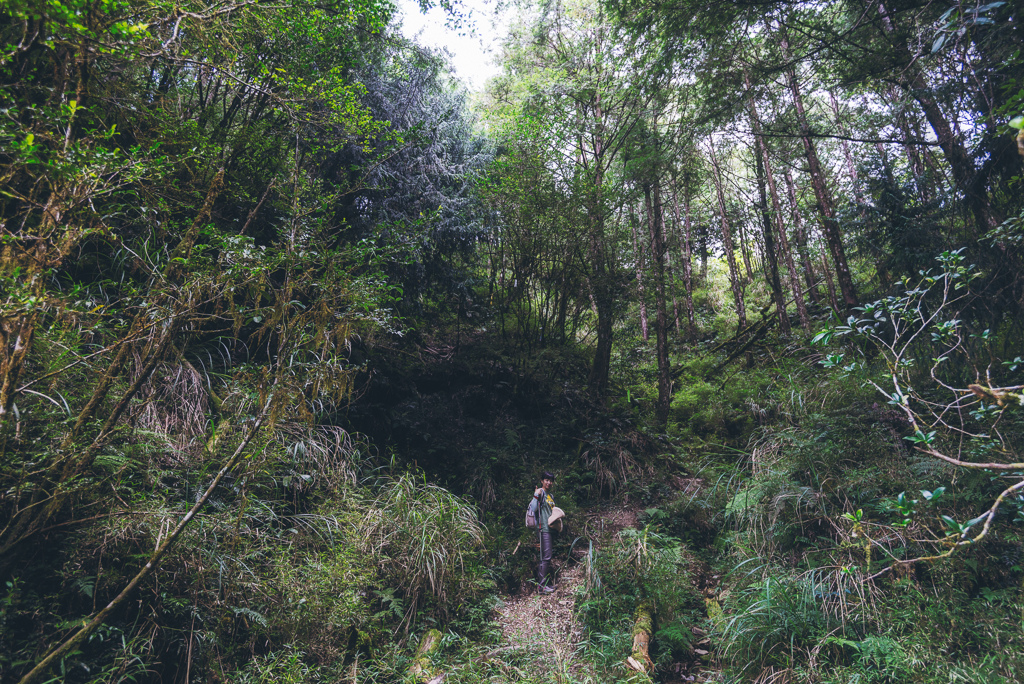 _DSC8964-編輯.JPG _DSC8964-編輯.JPG