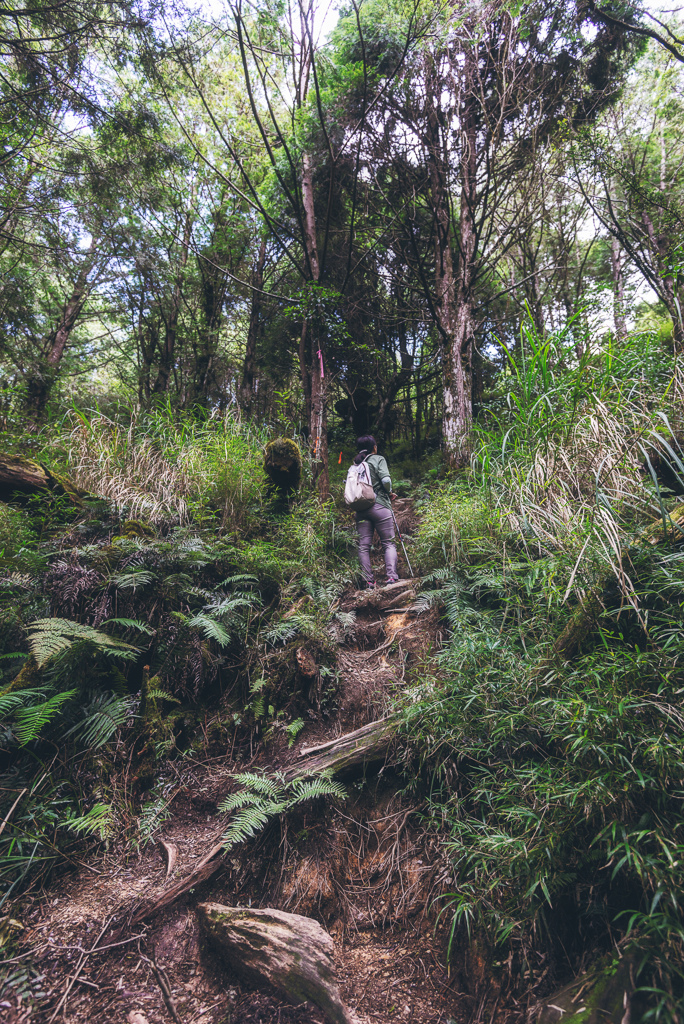 _DSC8967-編輯.JPG _DSC8967-編輯.JPG