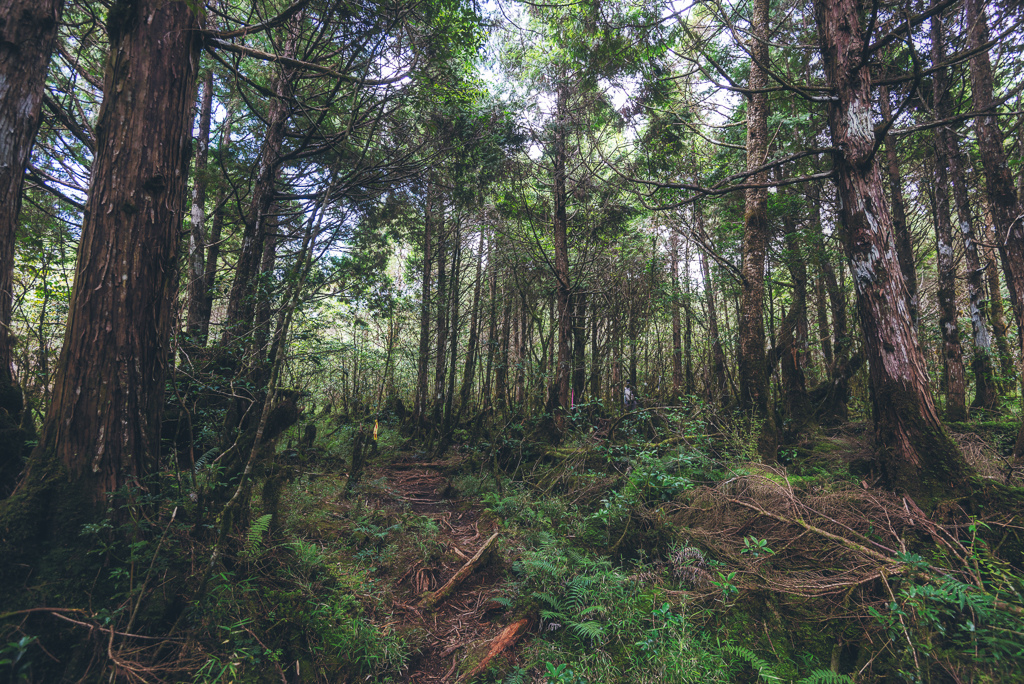 _DSC8975-編輯.JPG _DSC8975-編輯.JPG