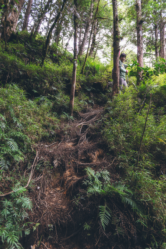 _DSC8970-編輯.JPG _DSC8970-編輯.JPG