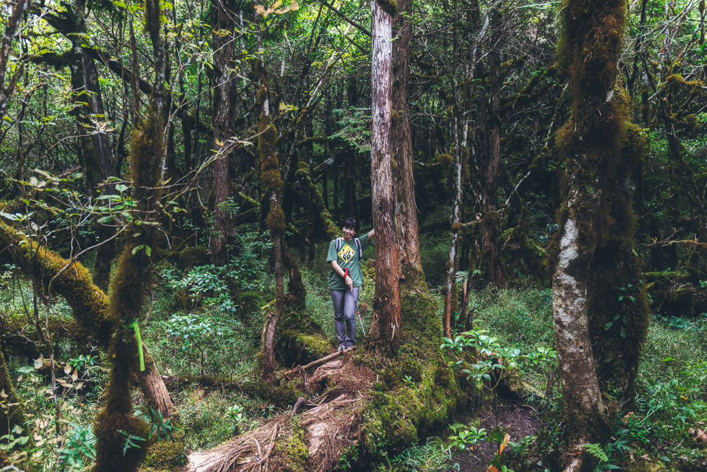 _DSC8995-編輯.JPG _DSC8995-編輯.JPG