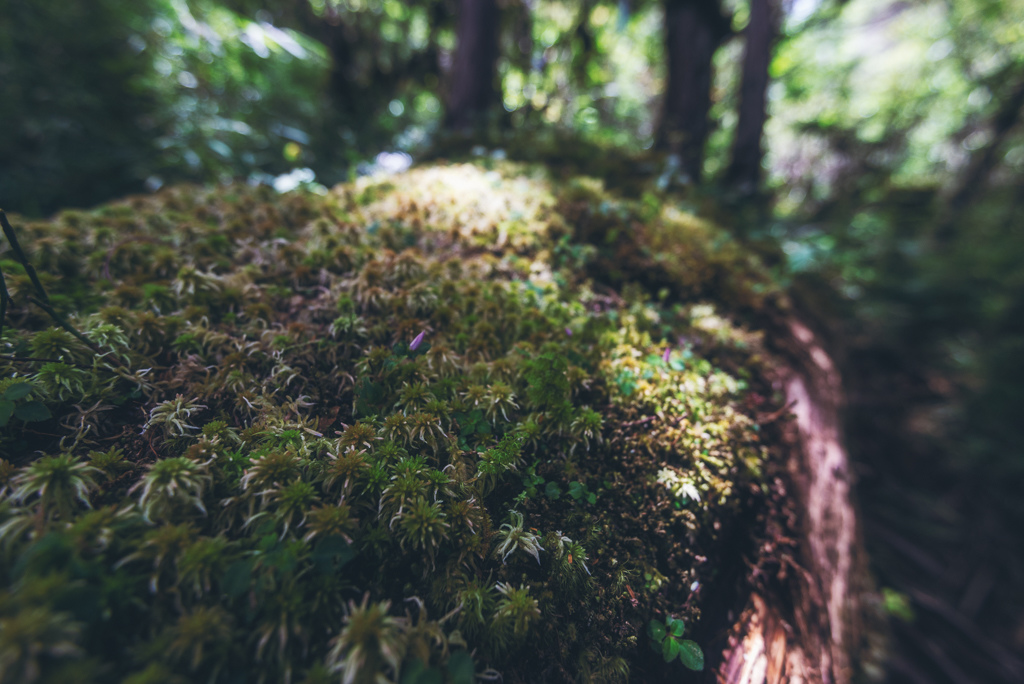 _DSC9005-編輯.JPG _DSC9005-編輯.JPG