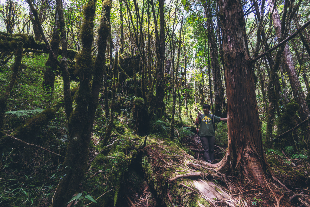 _DSC9002-編輯.JPG _DSC9002-編輯.JPG