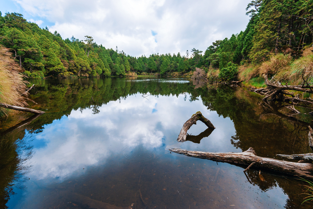 _DSC9011-編輯.JPG _DSC9011-編輯.JPG