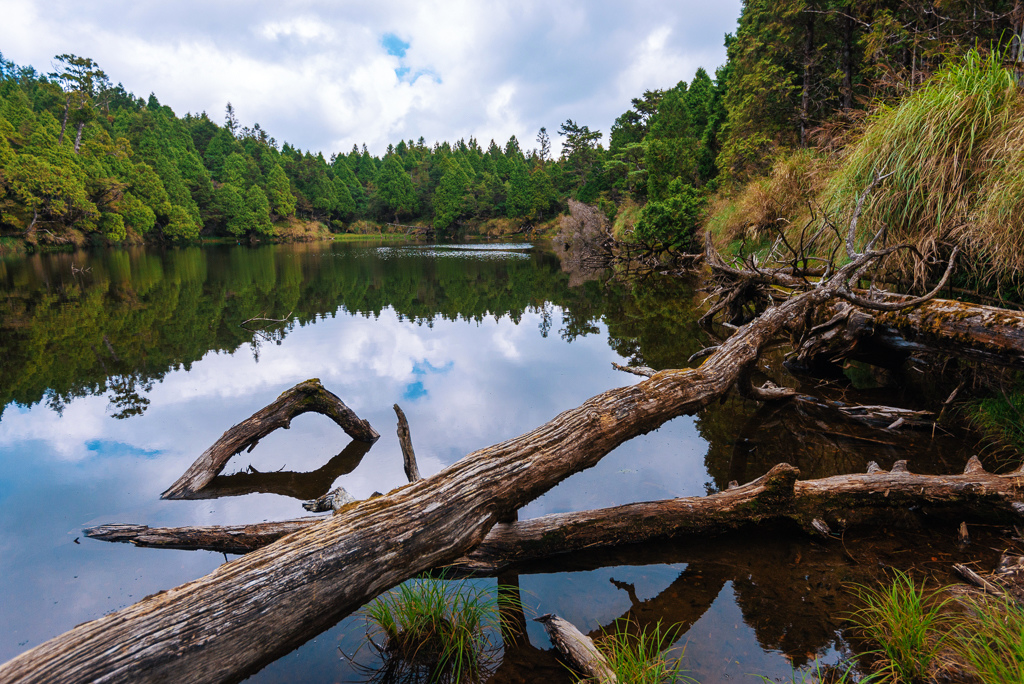 _DSC9010-編輯.JPG _DSC9010-編輯.JPG