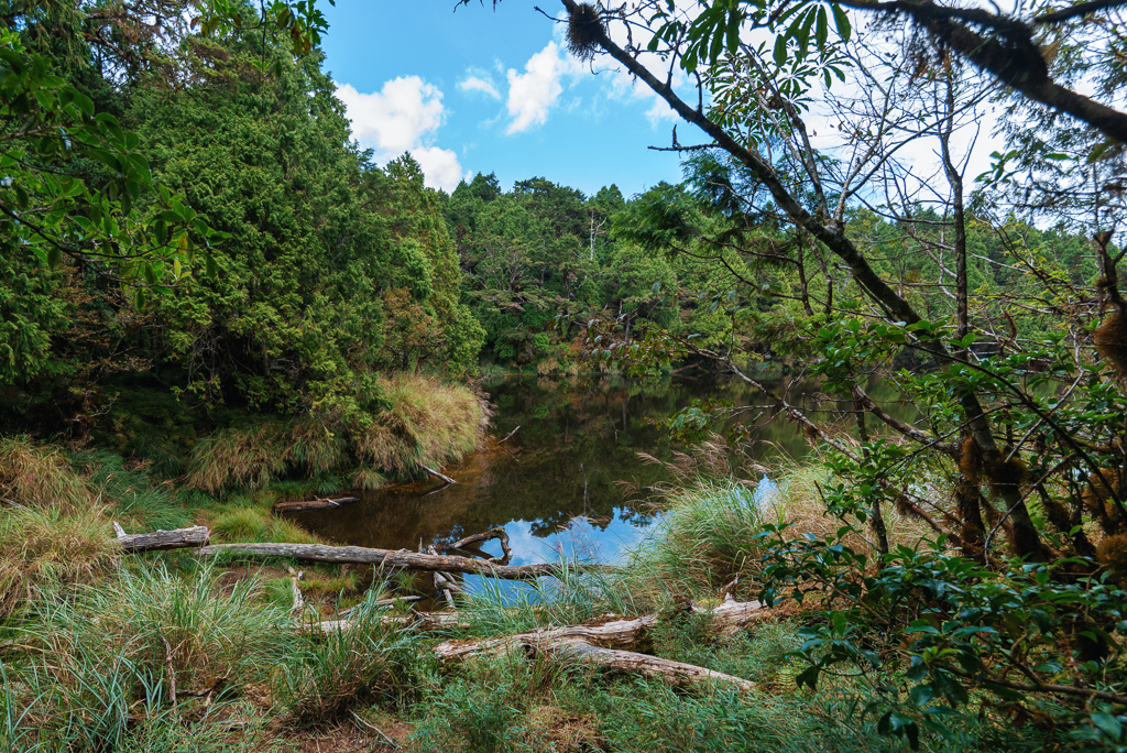 _DSC9008-編輯.JPG _DSC9008-編輯.JPG