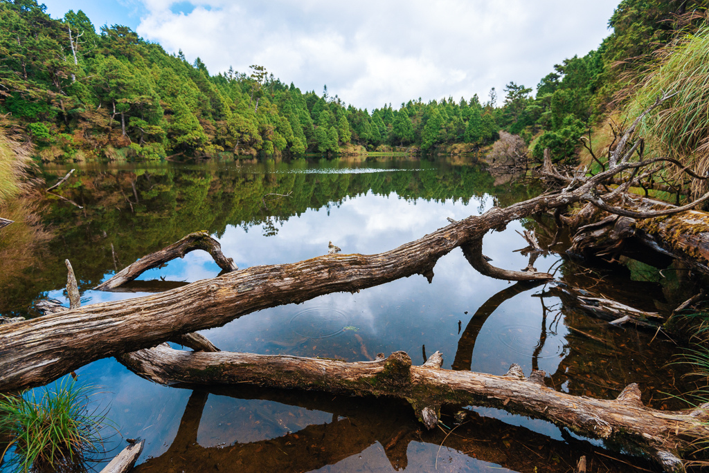 _DSC9013-編輯.JPG _DSC9013-編輯.JPG