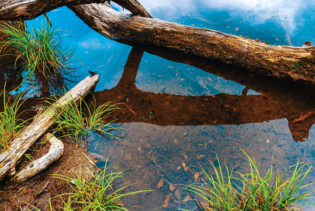 _DSC9012-編輯.JPG _DSC9012-編輯.JPG