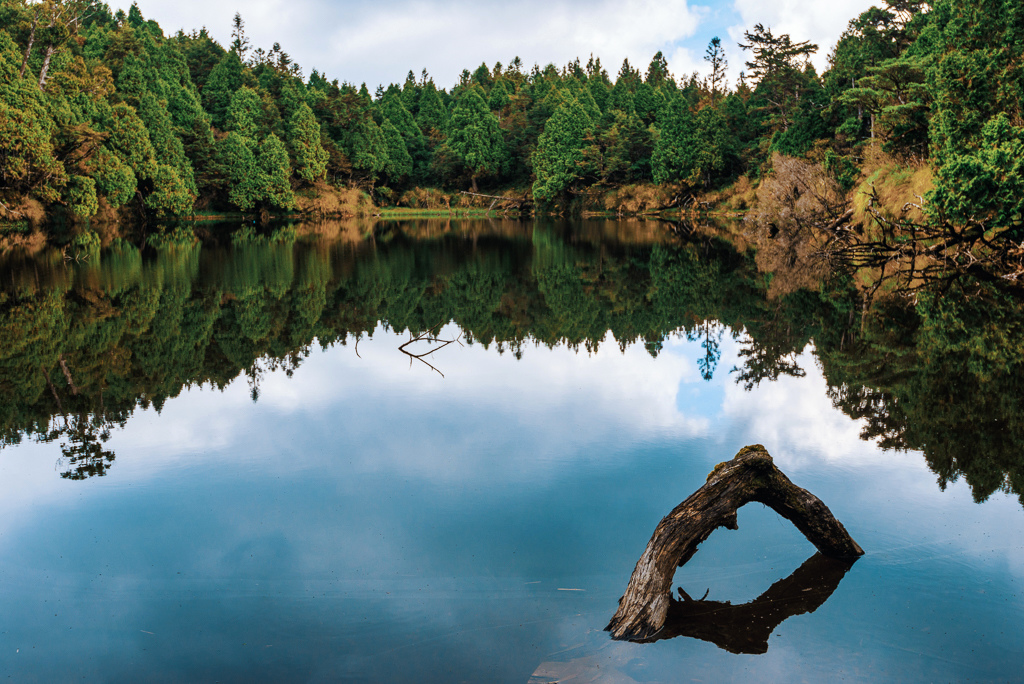 _DSC9028-編輯.JPG _DSC9028-編輯.JPG