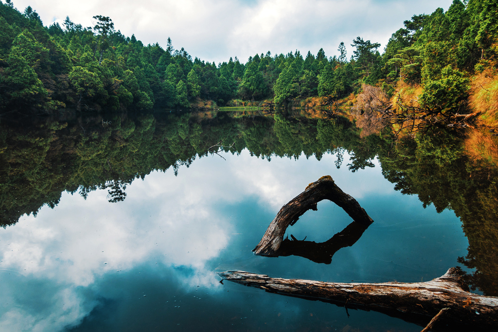 DSC06761-編輯.JPG DSC06761-編輯.JPG