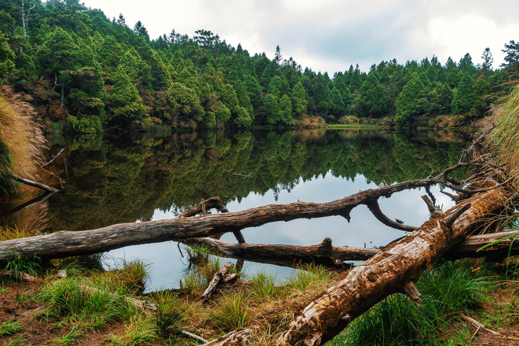 DSC06788-編輯-2.JPG DSC06788-編輯-2.JPG