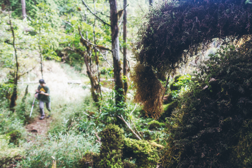 DSC06791-編輯.JPG DSC06791-編輯.JPG