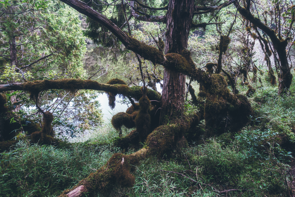 DSC06792-編輯.JPG DSC06792-編輯.JPG