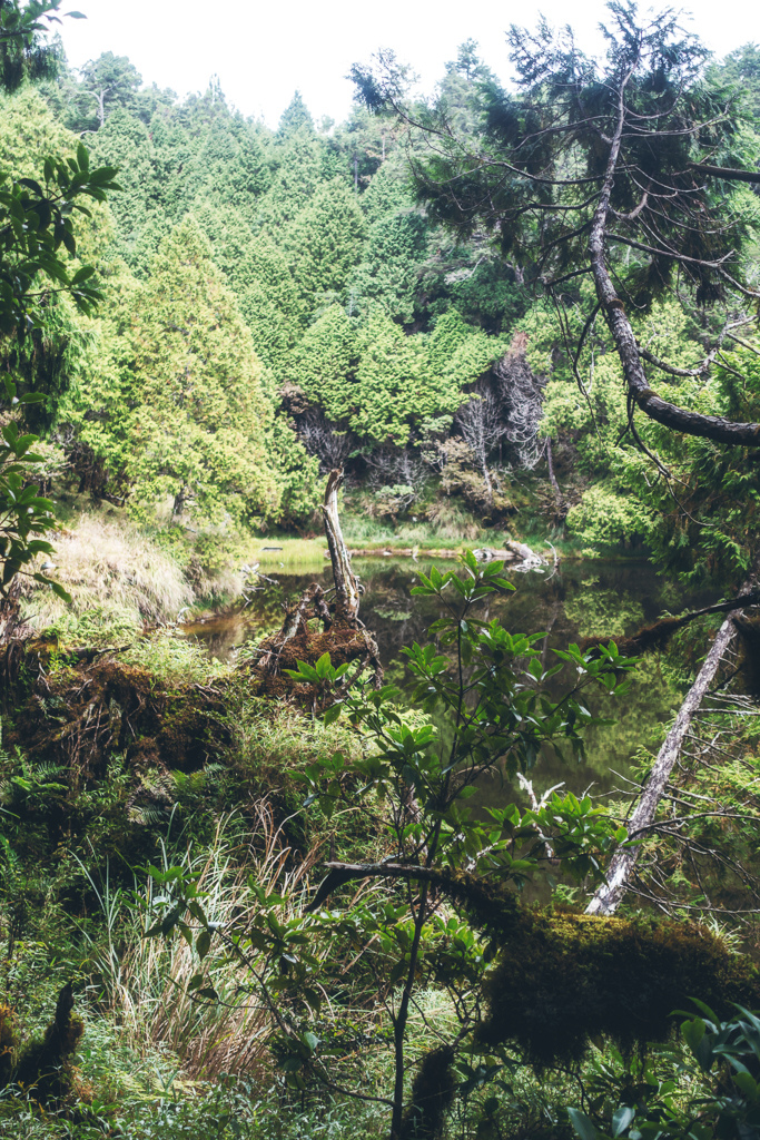 DSC06793-編輯.JPG DSC06793-編輯.JPG