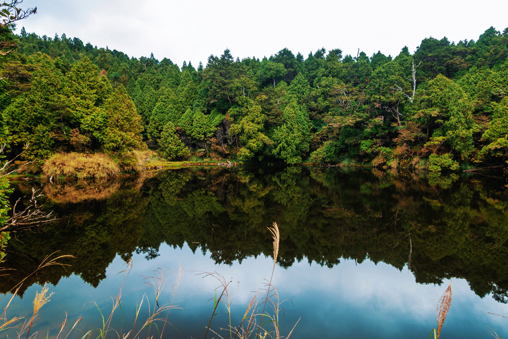 DSC06795-編輯.JPG DSC06795-編輯.JPG