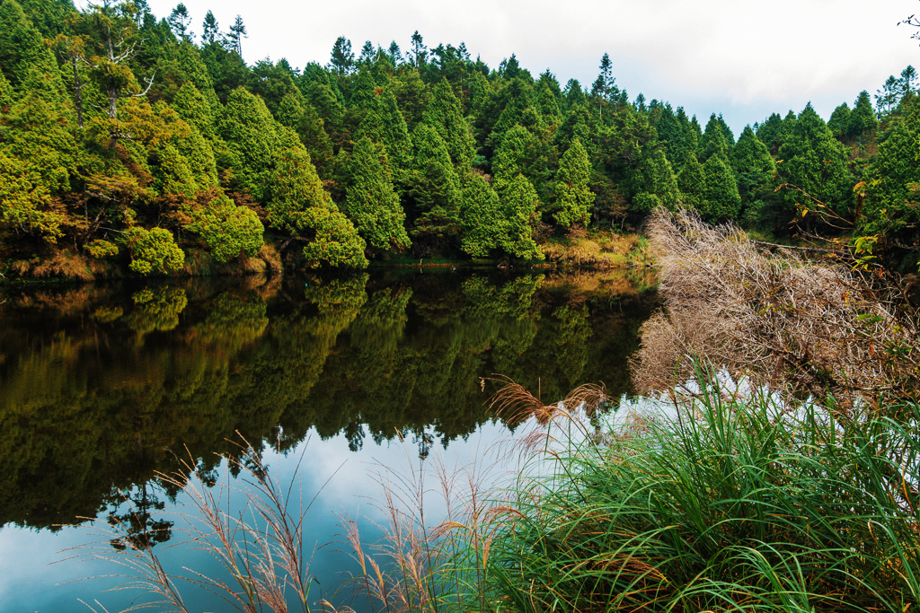 DSC06800-編輯.JPG DSC06800-編輯.JPG