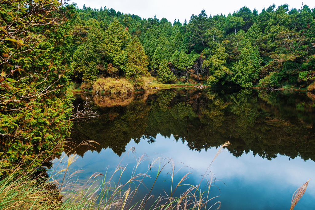 DSC06797-編輯.JPG DSC06797-編輯.JPG