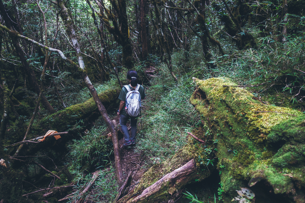 DSC06807-編輯.JPG DSC06807-編輯.JPG