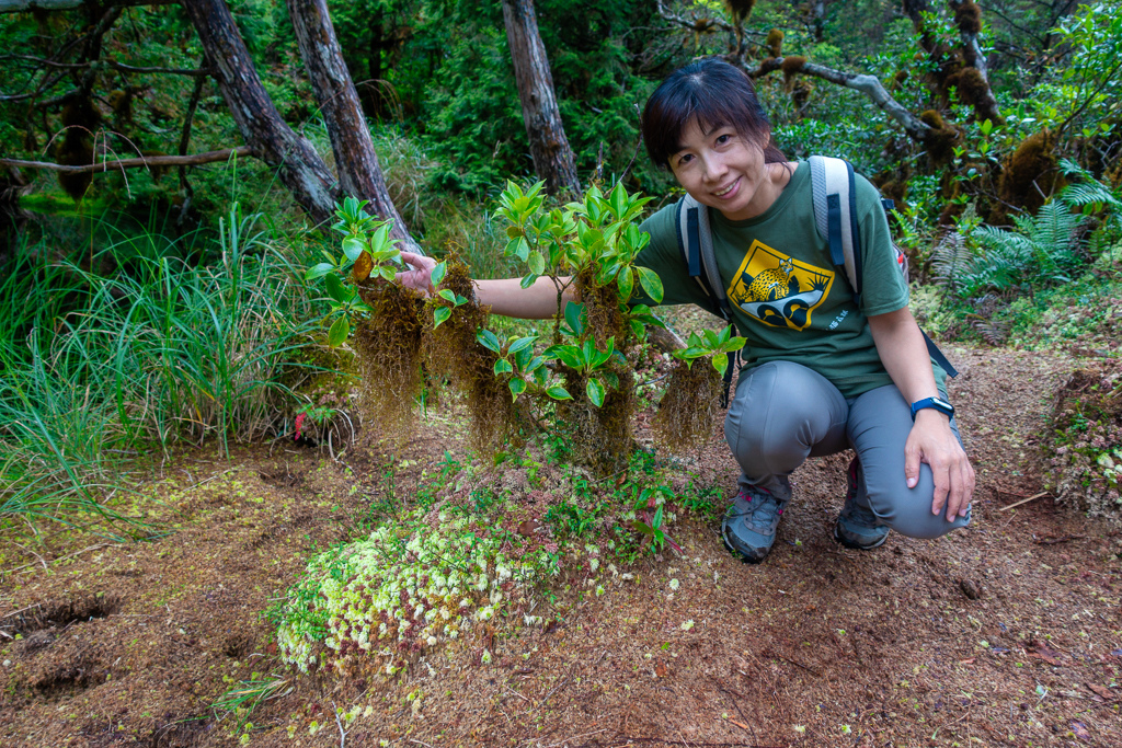 DSC06824-編輯.JPG DSC06824-編輯.JPG