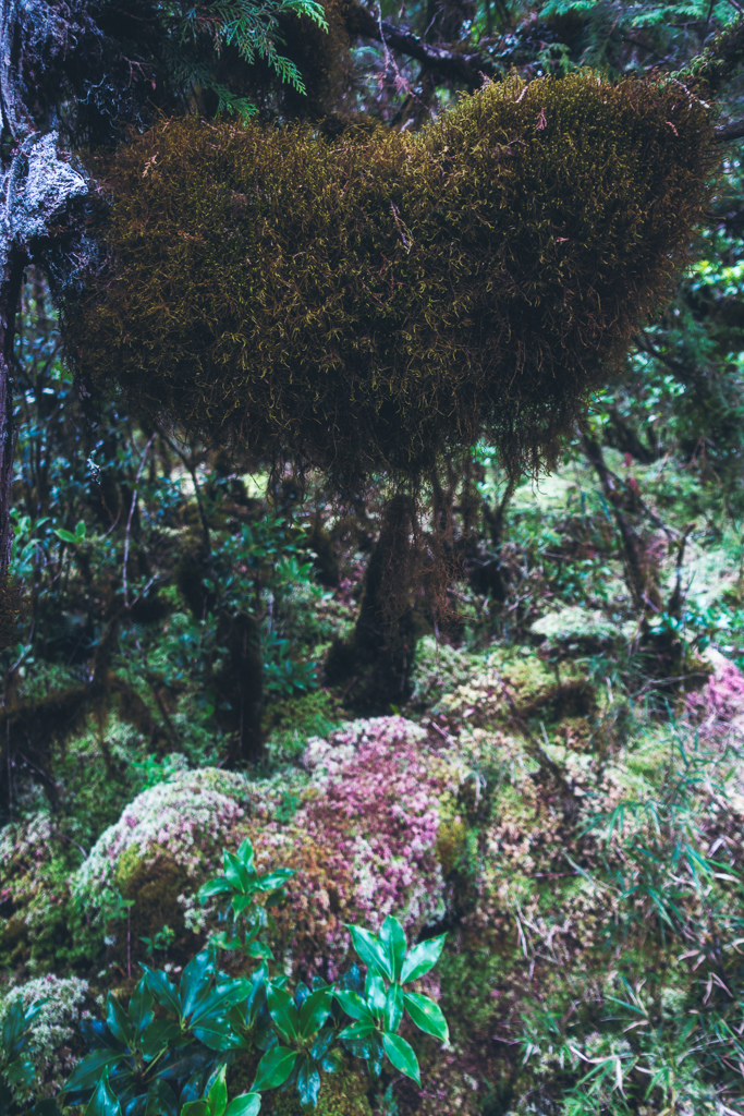 DSC06839-編輯.JPG DSC06839-編輯.JPG