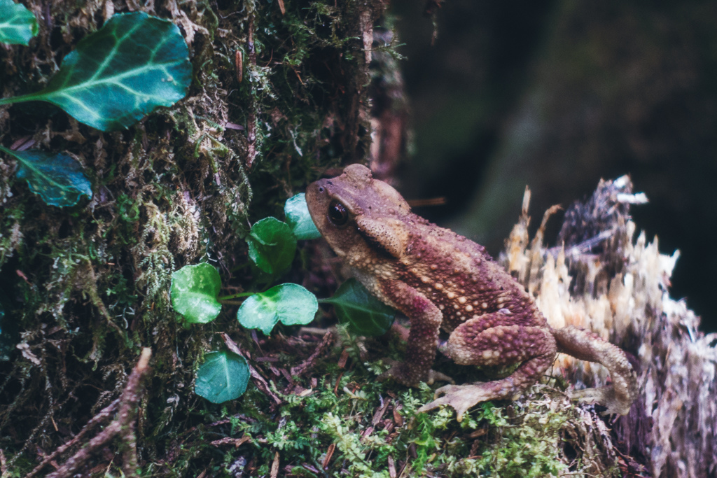 DSC06847-編輯.JPG DSC06847-編輯.JPG