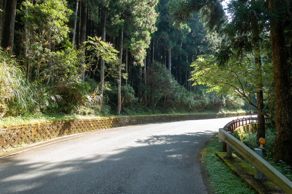 DSC06681.JPG DSC06681.JPG