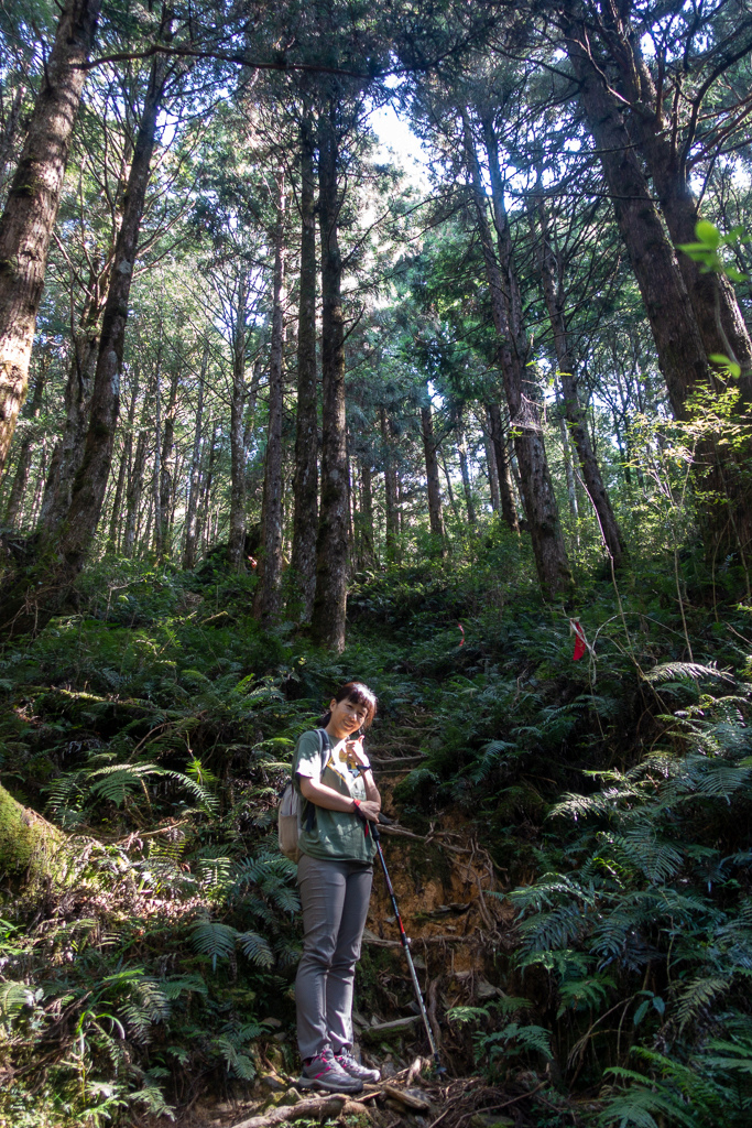 DSC06687.JPG DSC06687.JPG