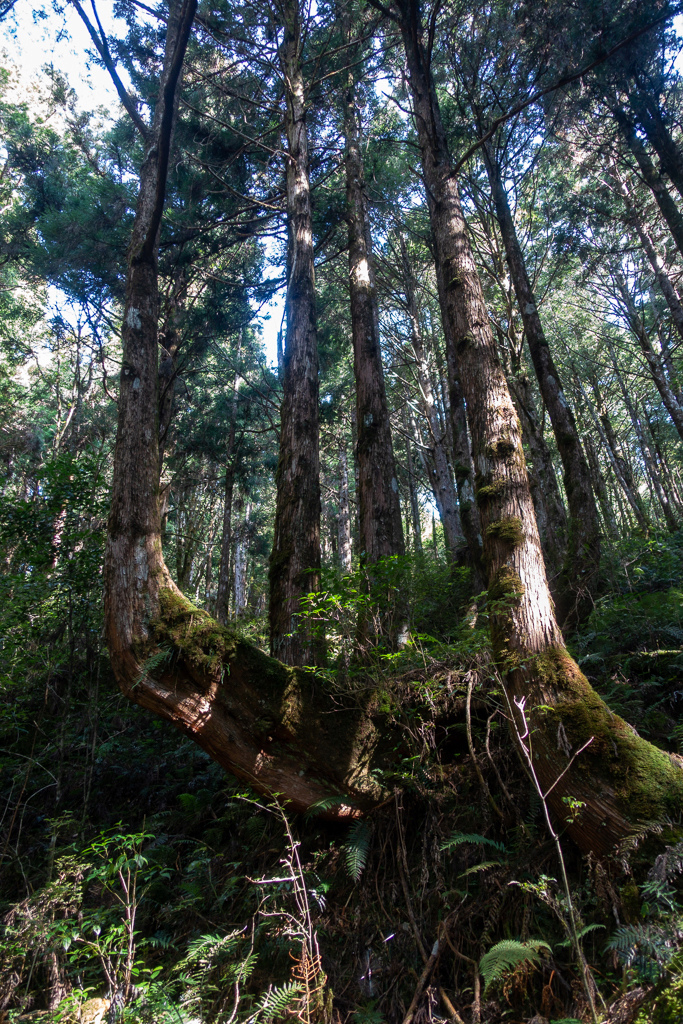 DSC06689.JPG DSC06689.JPG