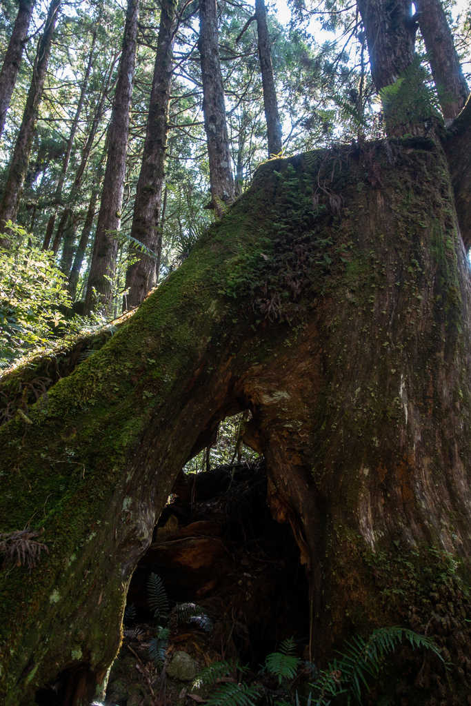 DSC06694.JPG DSC06694.JPG