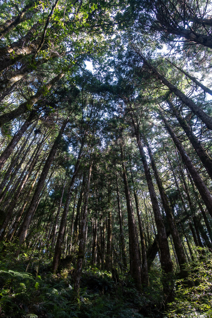 DSC06695.JPG DSC06695.JPG