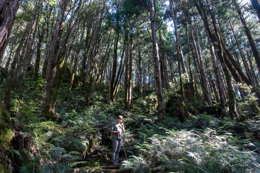 DSC06696.JPG DSC06696.JPG