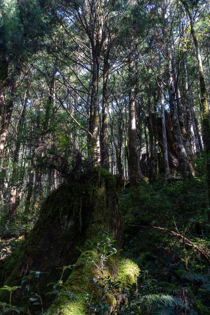 DSC06698.JPG DSC06698.JPG