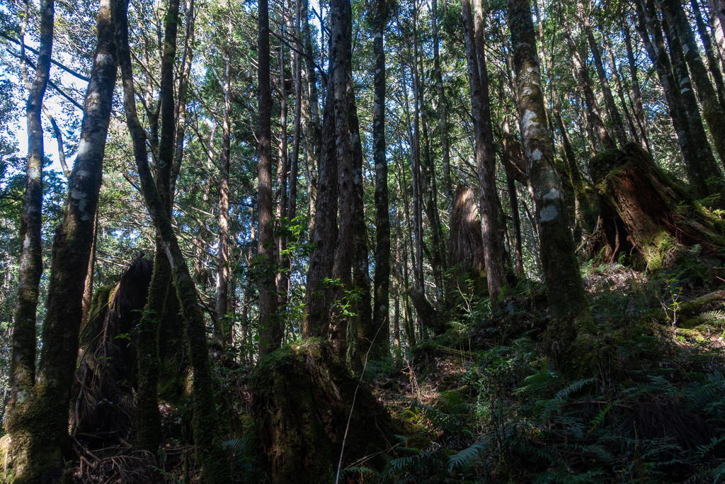 DSC06699.JPG DSC06699.JPG