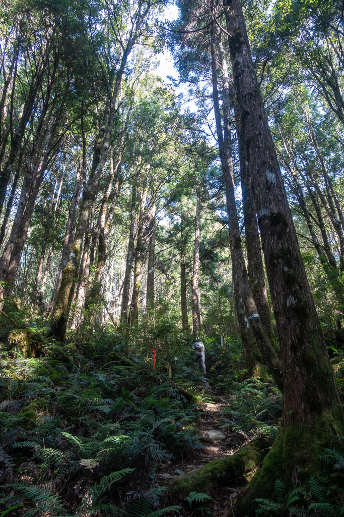 DSC06700.JPG DSC06700.JPG