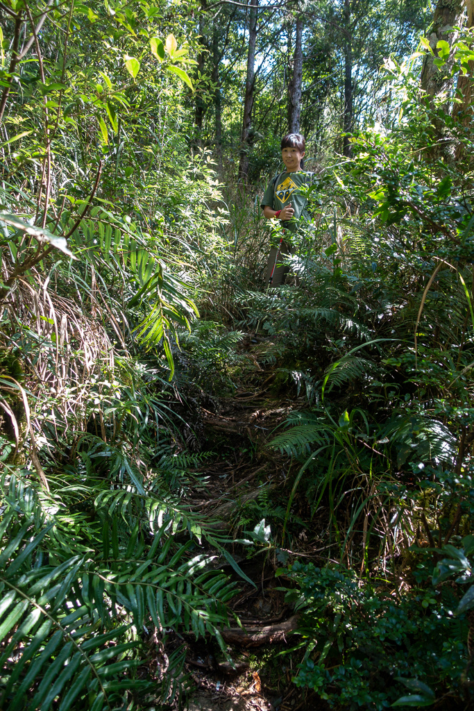 DSC06702.JPG DSC06702.JPG