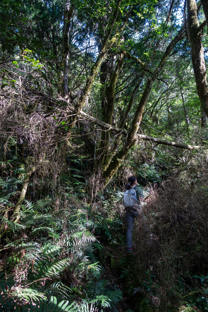 DSC06704.JPG DSC06704.JPG