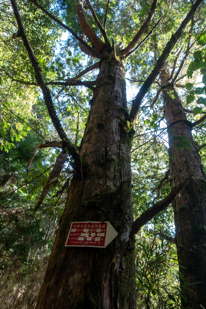 DSC06705.JPG DSC06705.JPG