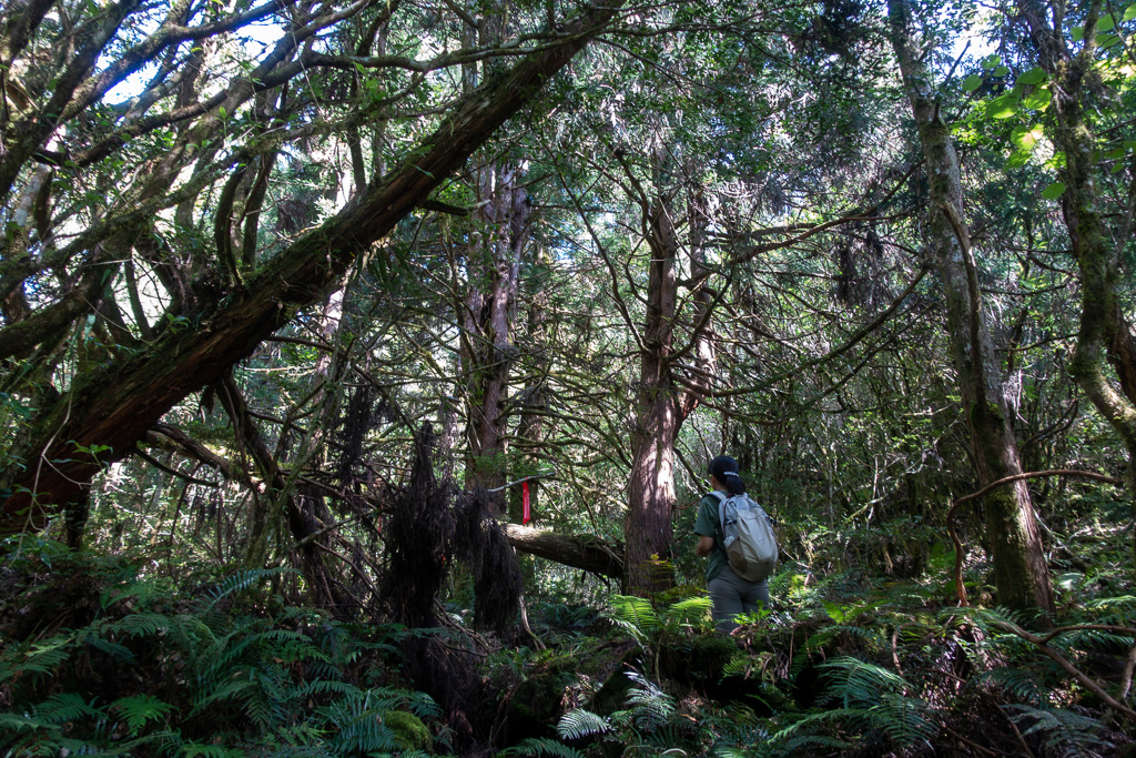 DSC06706.JPG DSC06706.JPG